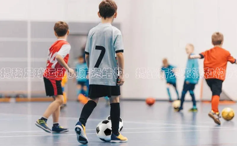 人人体育正版app下载中海达揭秘足球运动员薪资结构，揭露薪资来源和构成