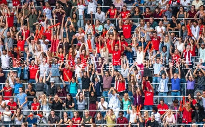 人人体育app官方版知乎铁岭体育盛事：多元运动赛事的精彩篇章