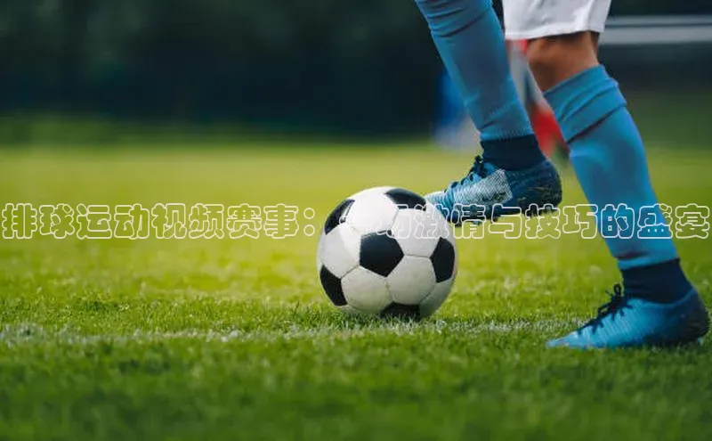 人人体育百度学术排球运动视频赛事：一场激情与技巧的盛宴