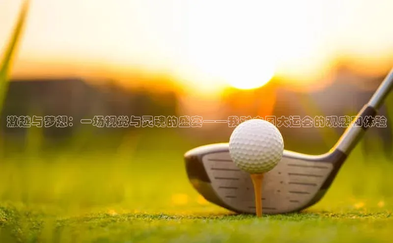 激越与梦想：一场视觉与灵魂的盛宴——我对中国大运会的观感和体验