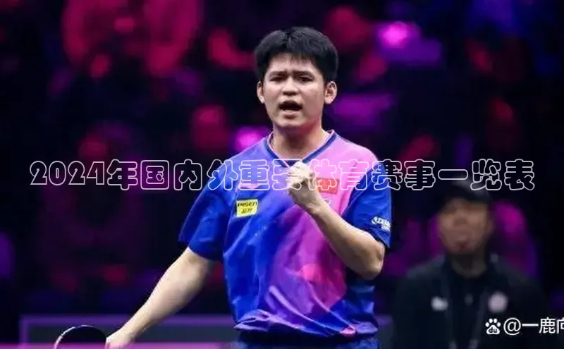 2024年国内外重要体育赛事一览表