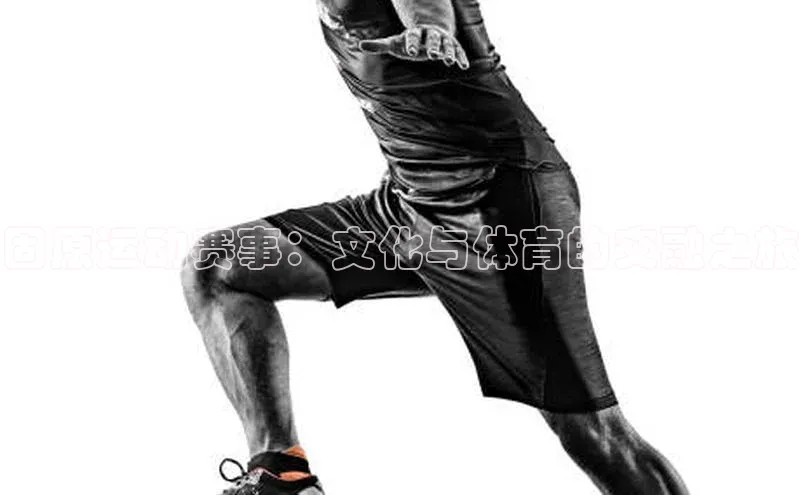 固原运动赛事：文化与体育的交融之旅