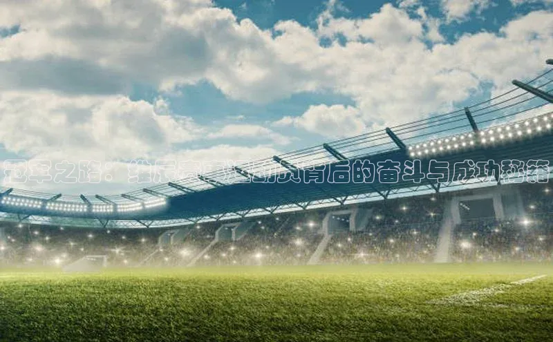 冠军之路：维辰赛事运动员背后的奋斗与成功秘籍