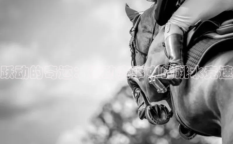 跃动的奇迹：运动赛事中的跳水竞速