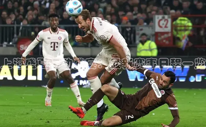 上海盛夏运动盛宴：最新赛事日程一览