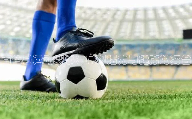 百色县运动赛事：展现活力与健康的舞台