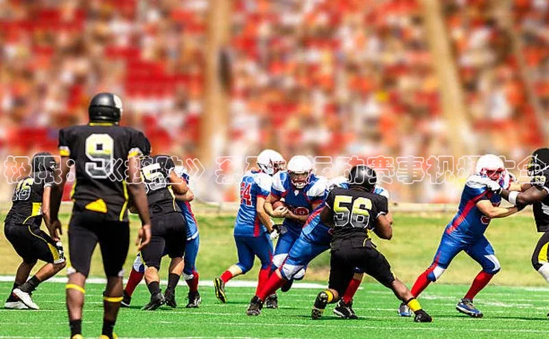 极限：《揽胜》系列：运动赛事视频大全