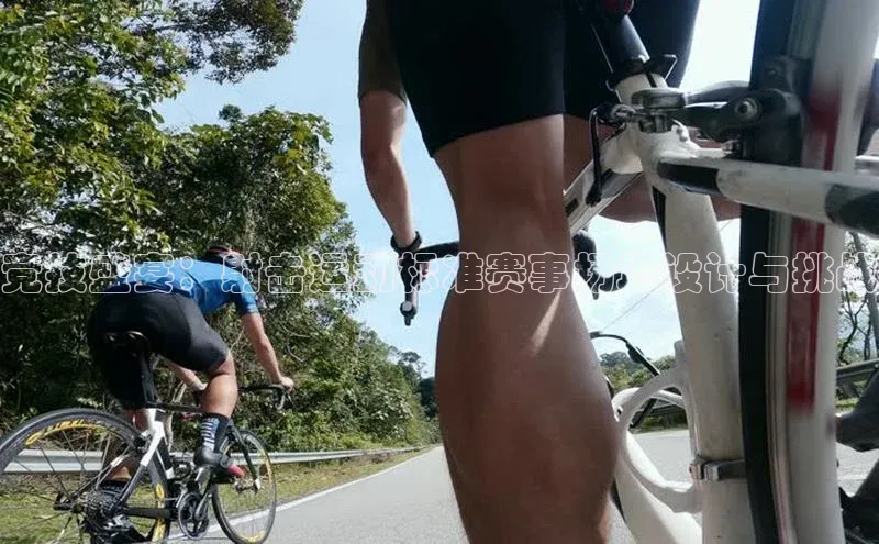 竞技盛宴：射击运动标准赛事场地设计与挑战