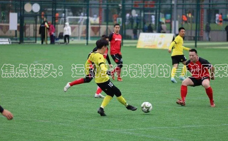 焦点镜头：运动赛事裁判的卓越风采