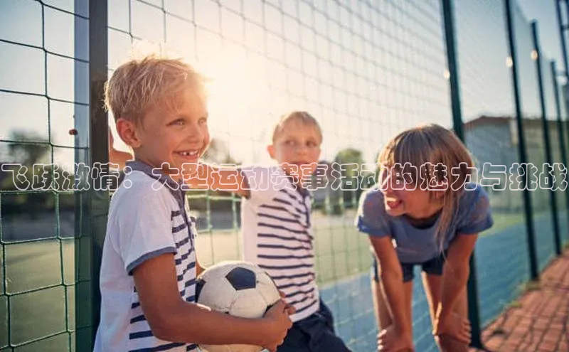 飞跃激情：大型运动赛事活动的魅力与挑战