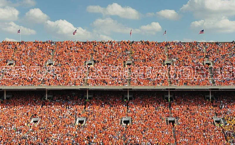 冠军风采：精选运动赛事素材图片集锦