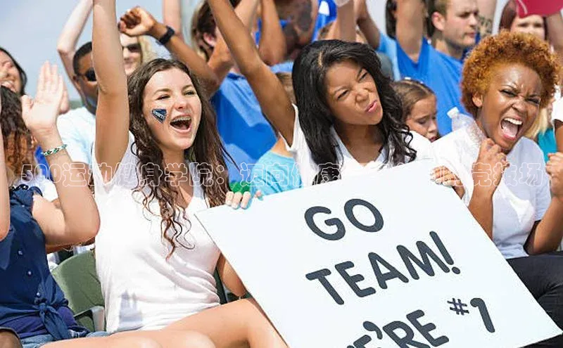 500运动健身学院：迈向健康与竞争力的竞技场