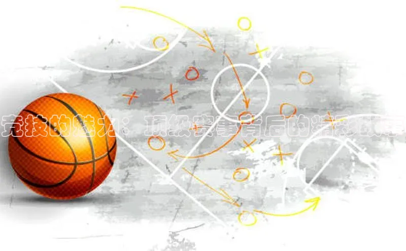 人人体育app官方版