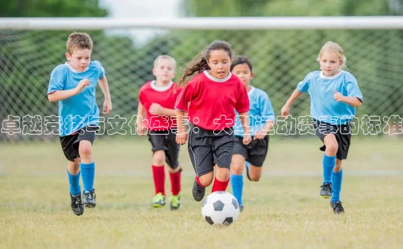 卓越竞技与文化盛事：大型运动赛事的标准