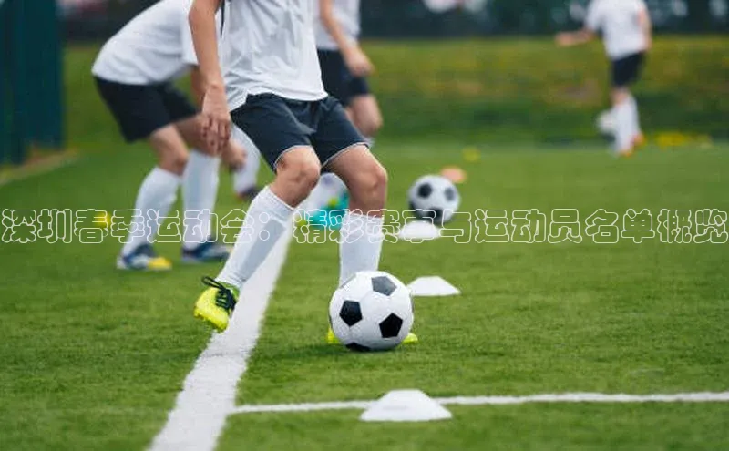 深圳春季运动会：精彩赛事与运动员名单概览